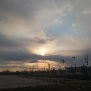 少司缘被脱鞋挠脚心
